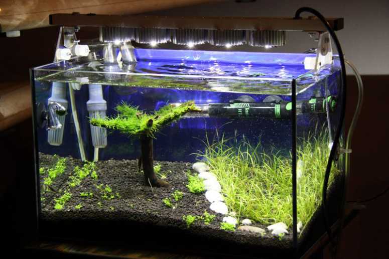 Светодиодная лента для аквариума с растениями какую выбрать