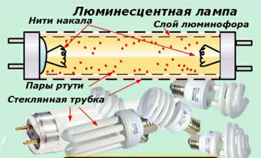 Принцип работы стартера люминесцентной лампы - всё о электрике