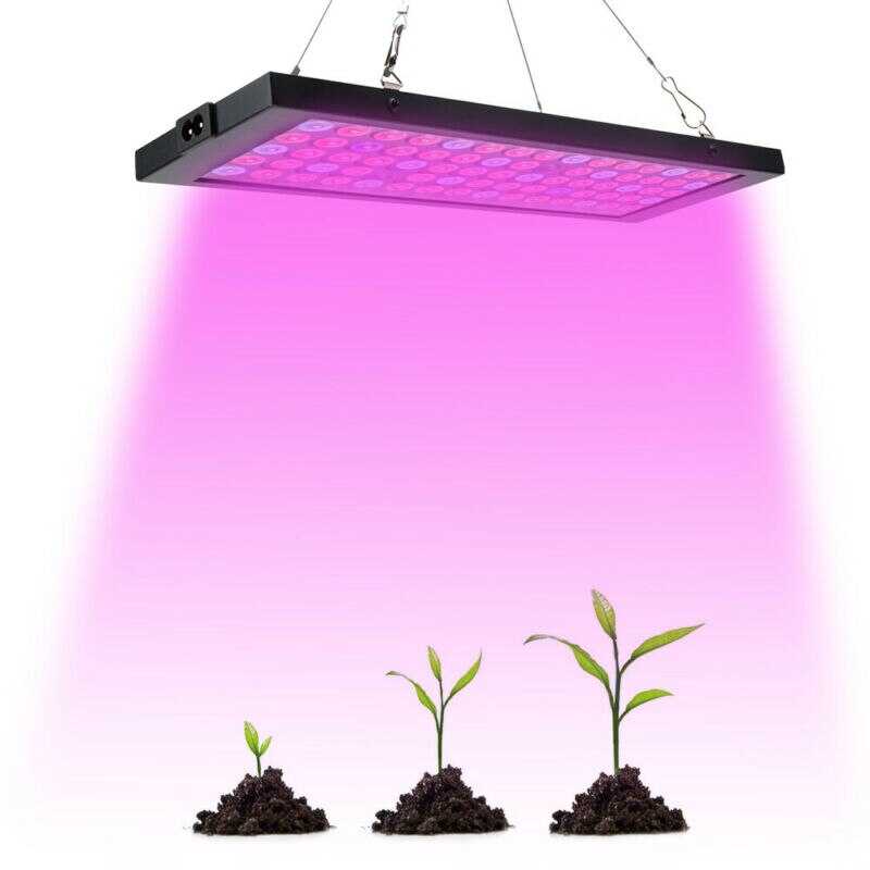 Фитолампа для растений: что это, как использовать, принцип работы, виды ламп