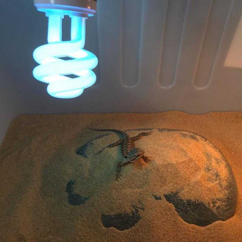 Сравнение УФ ламп для черепах - срок службы, для каких видов рептилий нужны, высота подвеса Как может навредить черепахе ультрафиолетовая лампа Что лучше, комбинированная лампочка или отдельно УФ+тепло Время свечения Как повысить эффективность одной и той