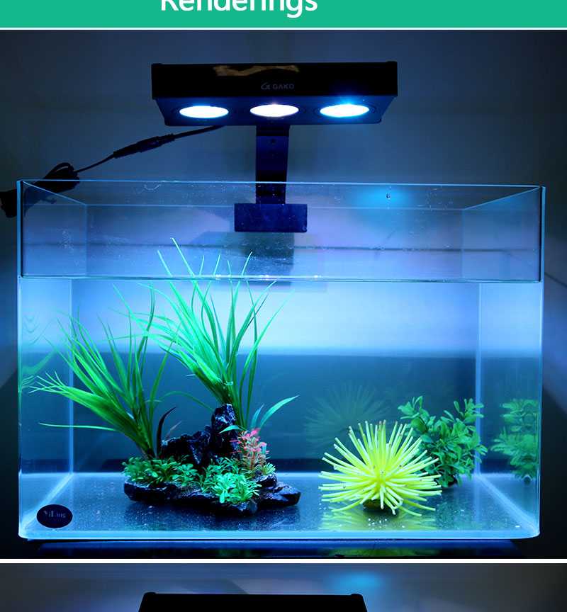 Свет в аквариуме сколько должен гореть: нужна ли подсветка ночью или выключать его, продолжительность светового дня для аквариумных рыб > свет и светильники