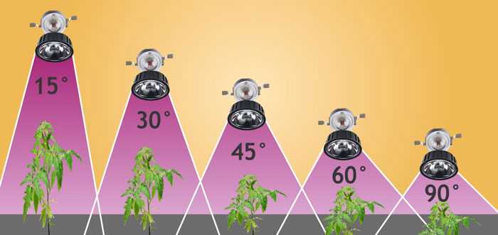 Что дает и какие фитолампы для растений лучше использовать? | pottedplants.ru