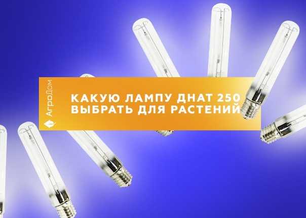 Лампы днат, лампы для растений, описание, характеристики - growhobby.ru