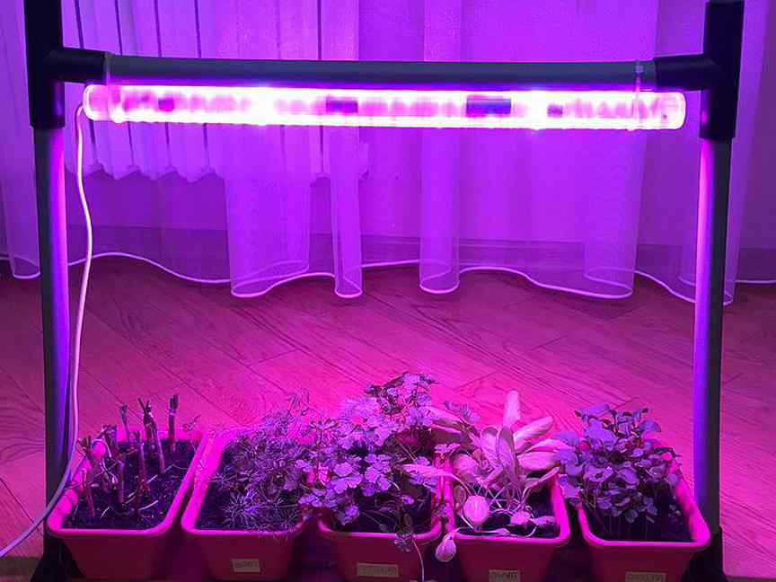 Как сделать фитолампу для подсветки рассады и растений в домашних условиях — пошаговая инструкция