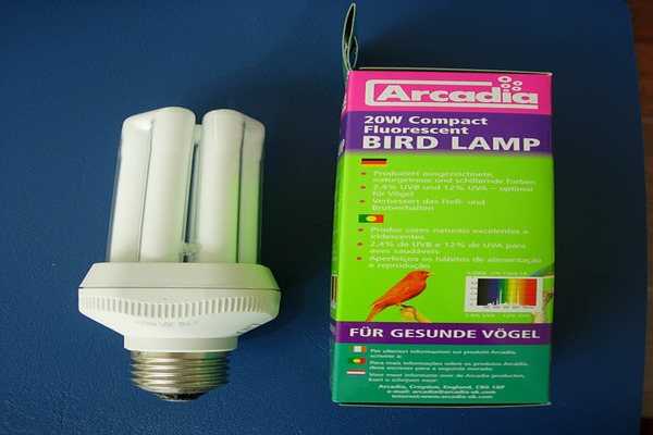 Уф лампа для попугаев - 5 правил освещения для птиц.