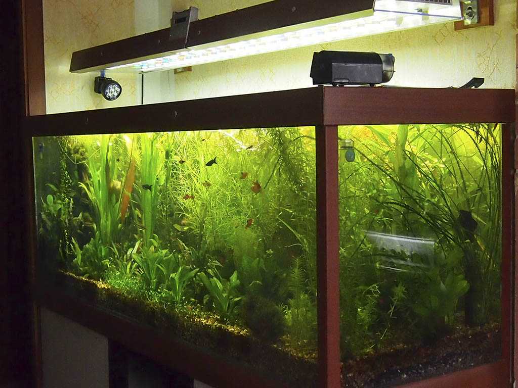 Расчет оптимального освещения для аквариума