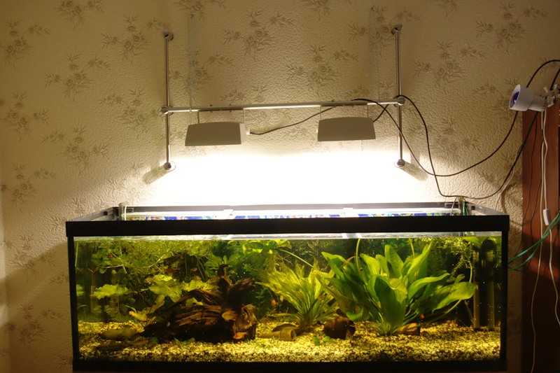 Освещение аквариума своими руками: светодиодные прожектора в аквариуме