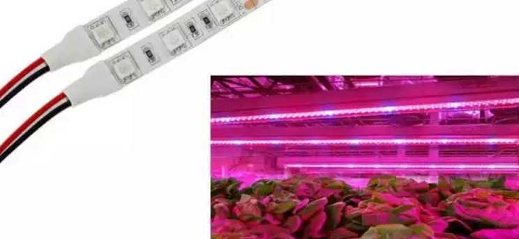 Светодиодная лента для растений: особенности, виды, как выбрать фито светодиоды