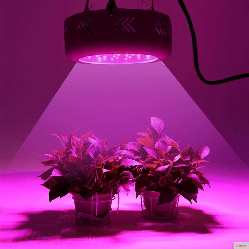 Люминесцентные лампы для растений, подсветка дневного света