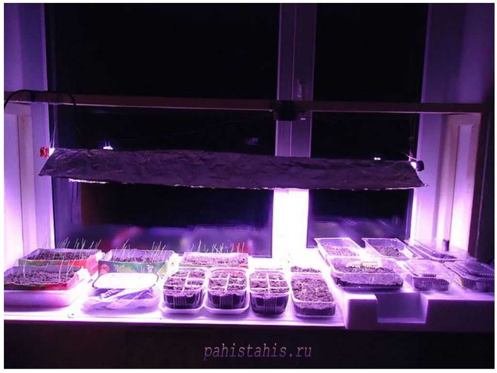 Лампы для выращивания растений в домашних условиях. какой свет нужен для роста растений?