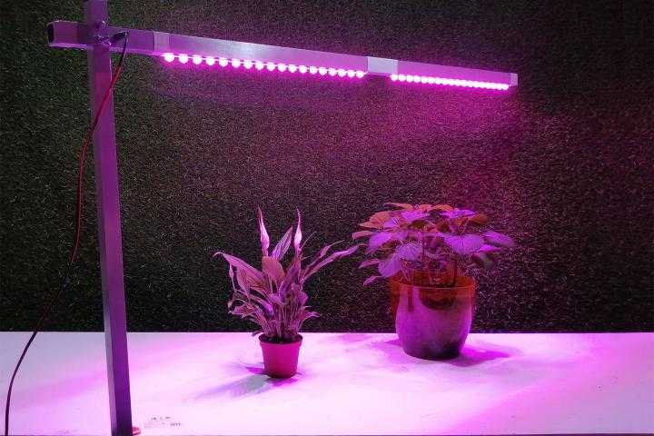 Светодиодная лента для растений: особенности, виды, как выбрать фито светодиоды
