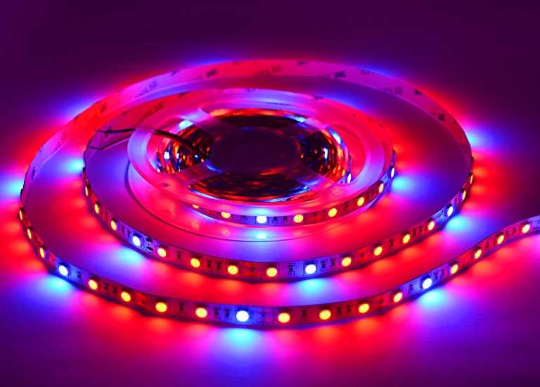 Светодиодные фитосветильники  — отличия от обычных светодиодов