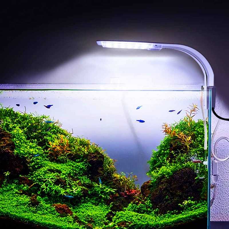 Освещение для аквариумных растений