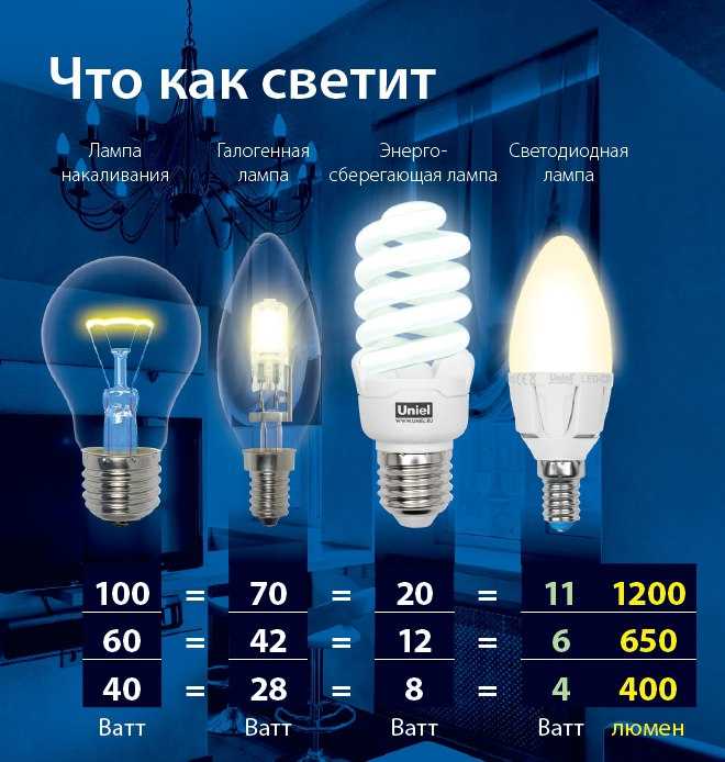 Какая лампа лучше: светодиодная или энергосберегающая?