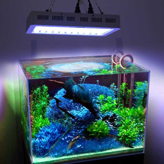 Выбираем лучший светильник для аквариума - 120 фото освещения светильника своими руками
