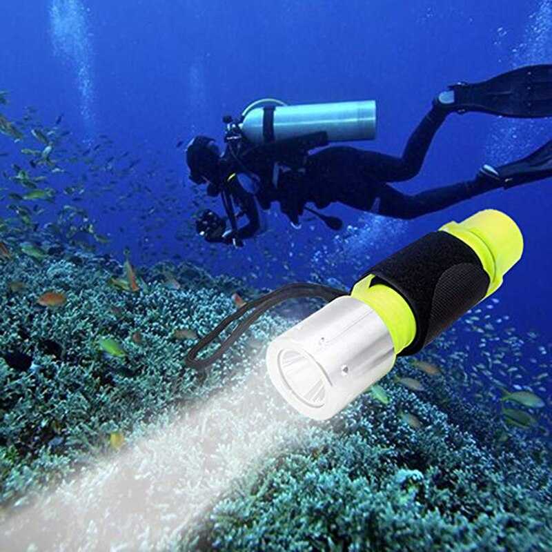 Лучшие фонари для подводной охоты и дайвинга – особенности и рейтинг 2021