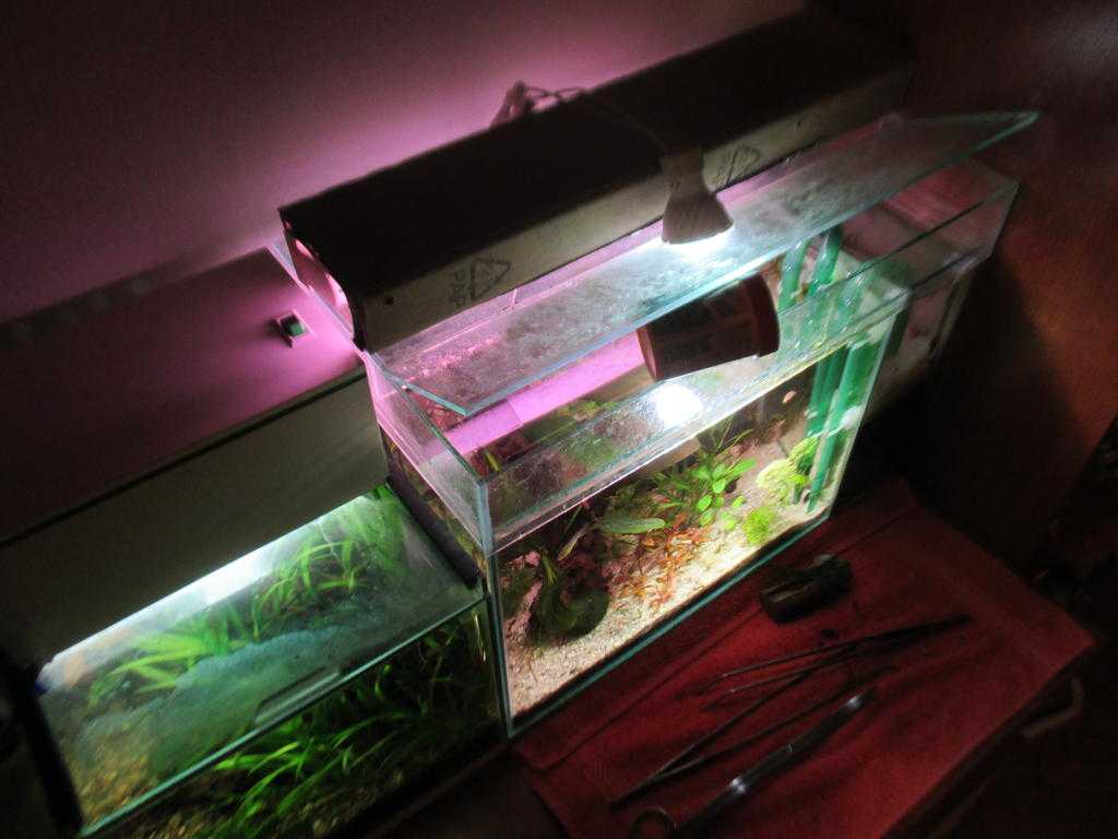 Как сделать led подсветку для аквариума своими руками