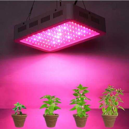 Обзор вариантов освещения для растений