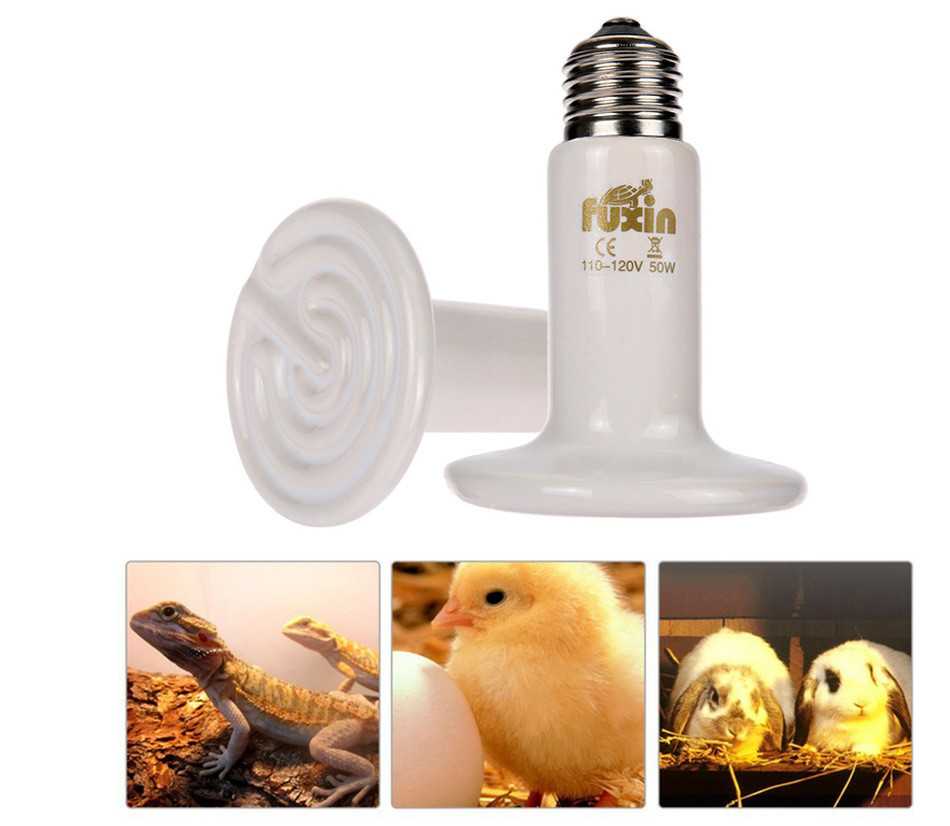 Лампа для обогрева цыплят: применение красной, керамической и инфракрасной ламп для подогрева. световой режим дня для цыплят и несушек