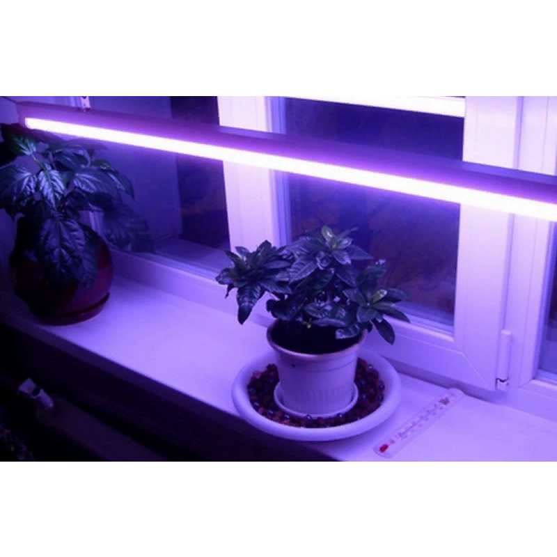 Можно ли подсвечивать рассаду светодиодными. Лампа Osram Fluora. Фитолампа светодиодная Uniel t8 9w, для растений, с выключателем. Фитолампа фитолето. Фитолампа Юниел для растений.