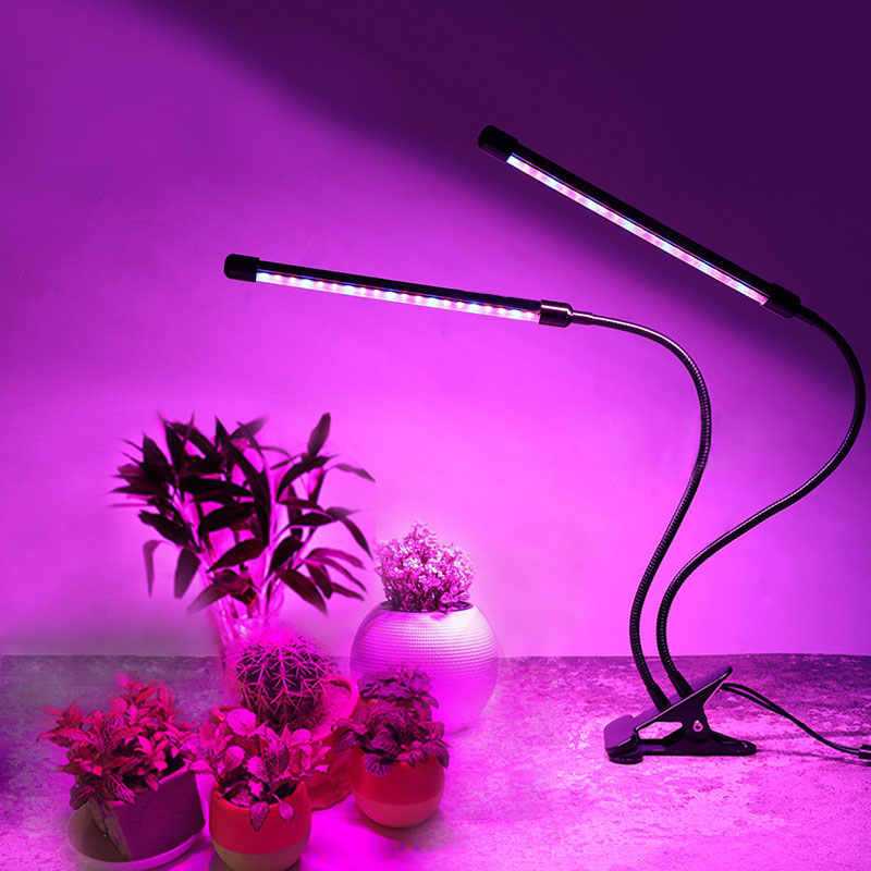 Лампы для растений: как выбрать ульрафиолетовую энергосберегающую фитолампу для выращивания и подсветки комнатных растений, что такое индукционные биспектральные лапмпочки