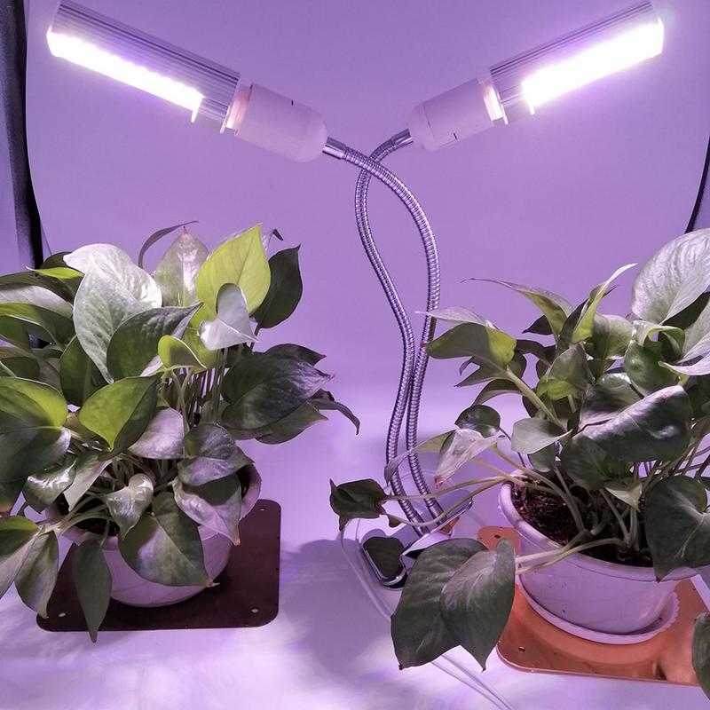 Светодиодное освещение для растений – создание необходимого микроклимата