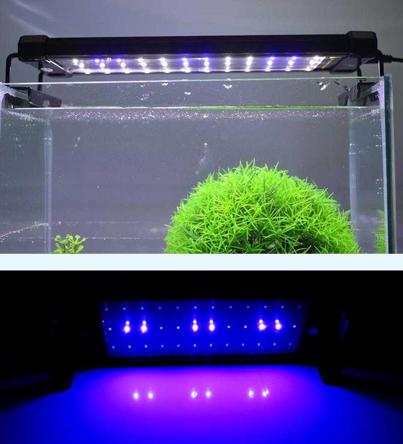 Лампы для аквариума: светодиодные, люминесцентные и другие типы светильников для подсветки