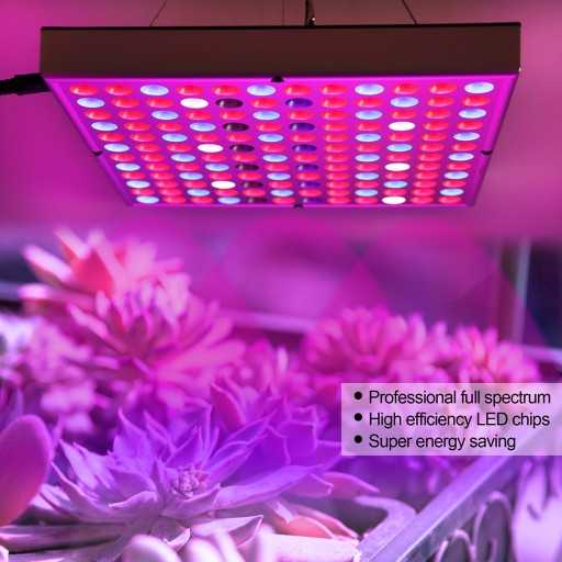 Ультрафиолетовая лампа для растений выбираем уф-лампу для выращивания комнатных цветов. фитолампа домашнего использования