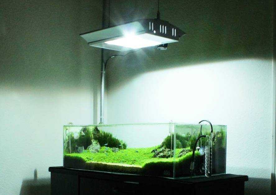 Выбор лампы для аквариума: что нужно знать, какие подходят?