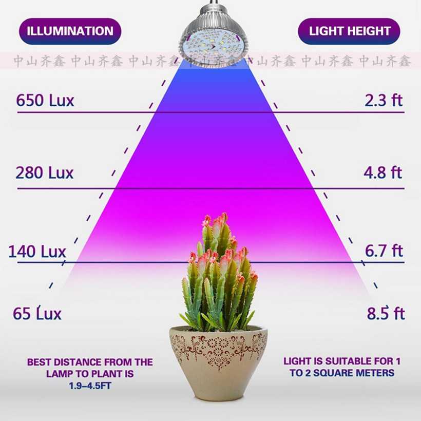 Лучшие светодиодные лампы для растений