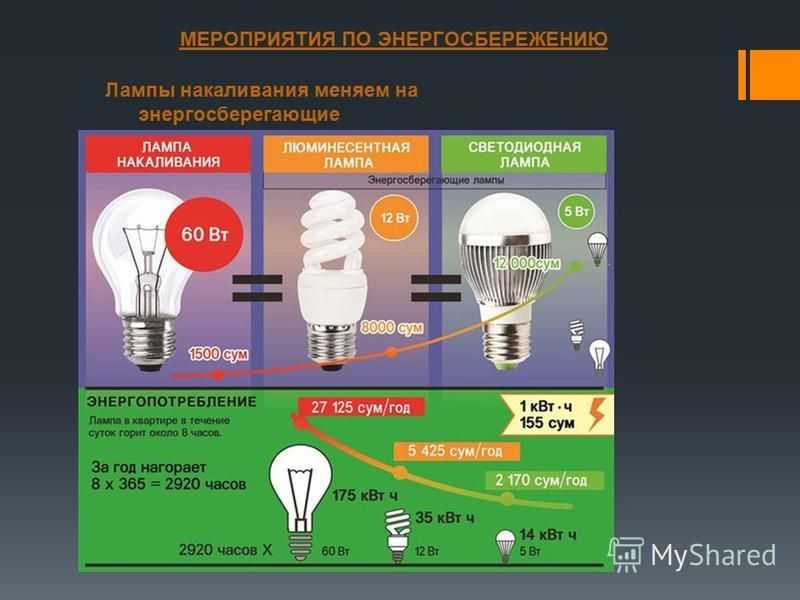 Сравнительный анализ энергосберегающих ламп и ламп накаливания в быту