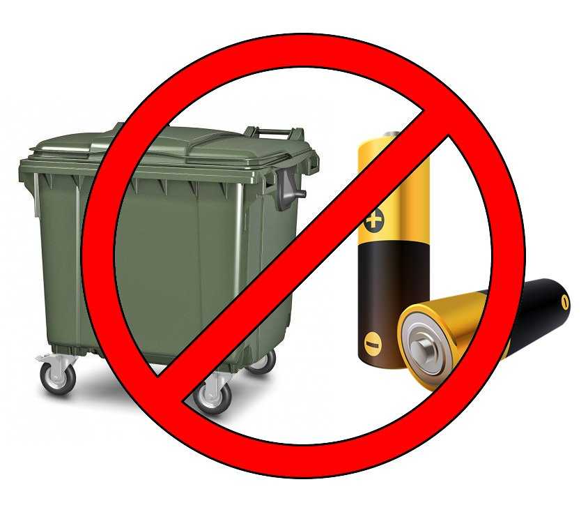 Проблема мусора: вред отходов для окружающей среды и человека