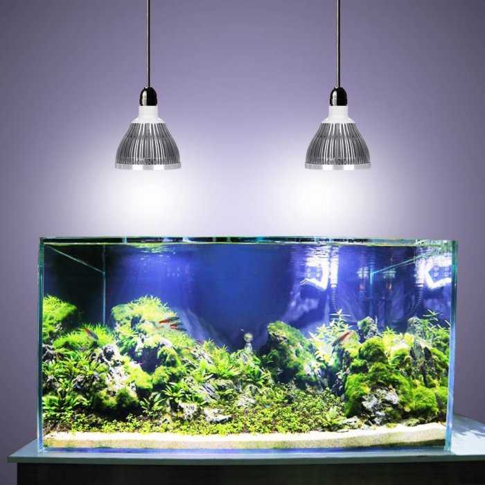 Как правильно настроить свет в аквариуме