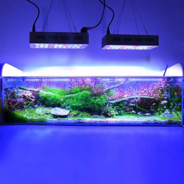 Правильное освещение аквариума: обзор светильников.