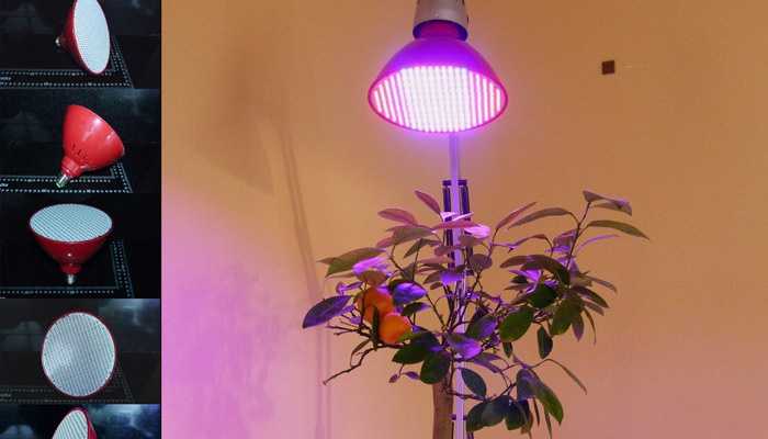 Фитолампы — спасение для комнатных и тепличных растений
