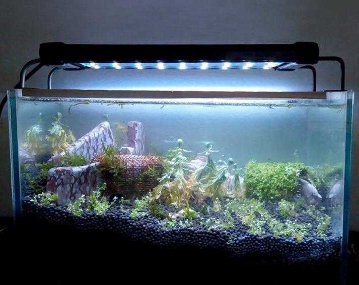 Подбираем освещение для аквариума, чтобы обитателям и растениям было комфортно