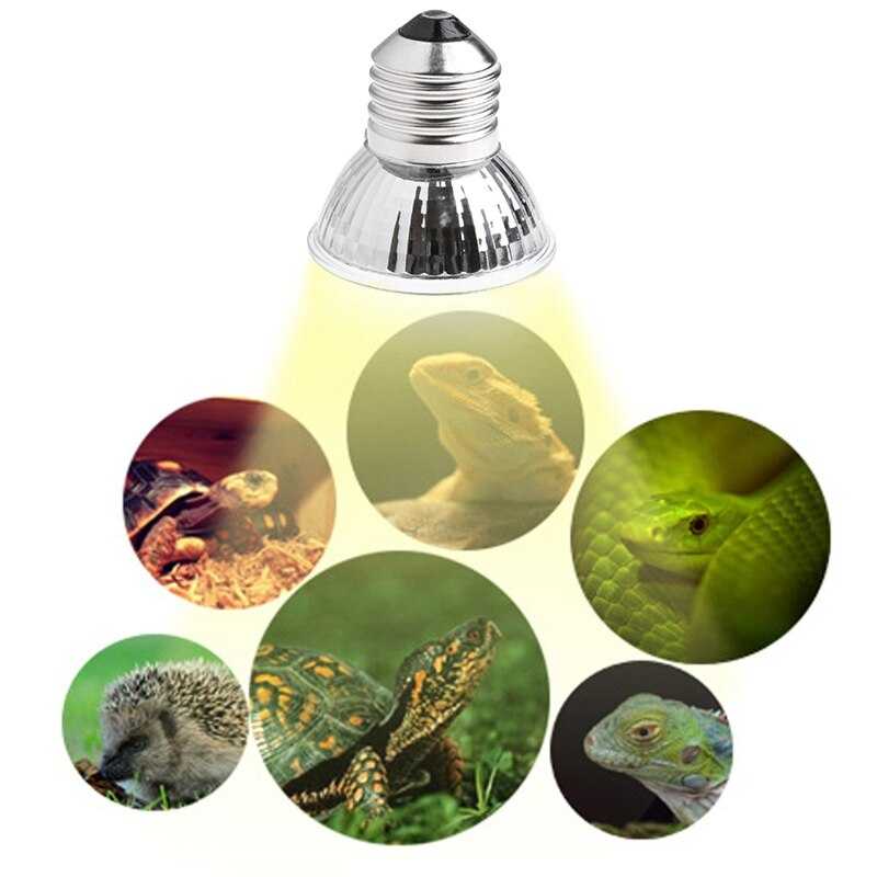 Лампа накаливания для красноухих черепах в акватеррариум