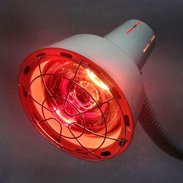 Инфракрасные лампы: типы ик лампочек для бытового использования и выбор