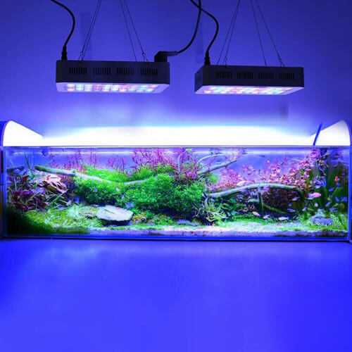Как сделать подсветку аквариума светодиодной лентой