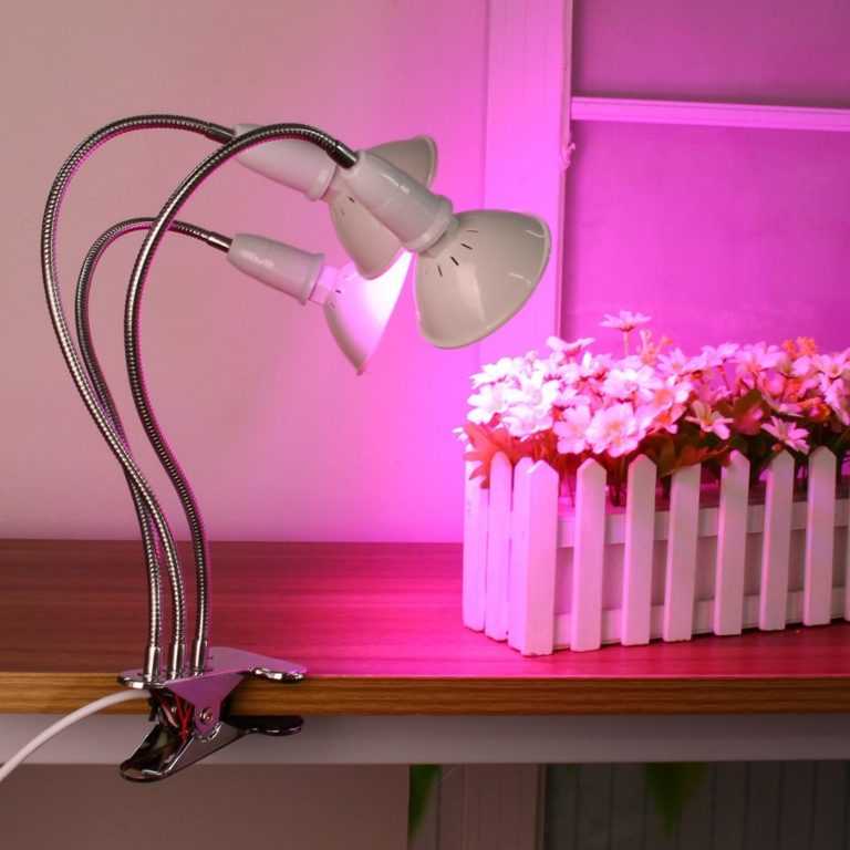 Какая лампа нужна для рассады в домашних условиях