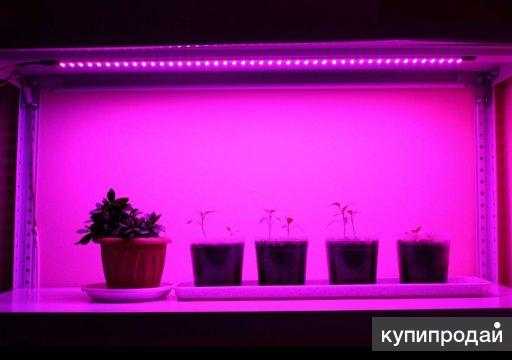 Как сделать светодиодную фитолампу для растений самостоятельно