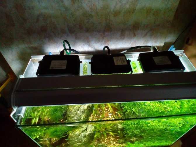 Светодиодный светильник для аквариума своими руками: как сделать крышку для аквариума с освещением, расчет подсветки, выбор ламп