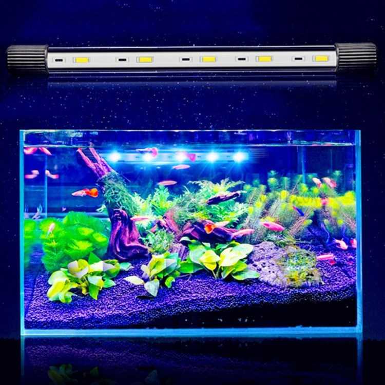 Освещение для аквариума с растениями и рыбками, сколько должен гореть свет, какой лучше