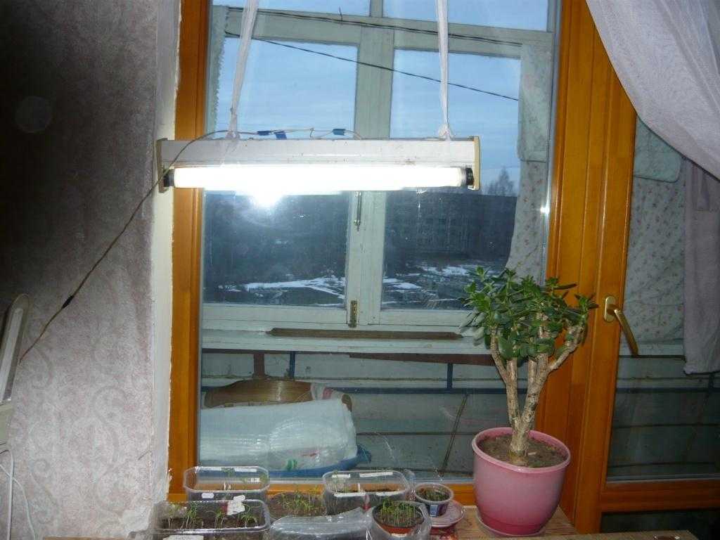 Особенности лампы для выращивания рассады в домашних условиях