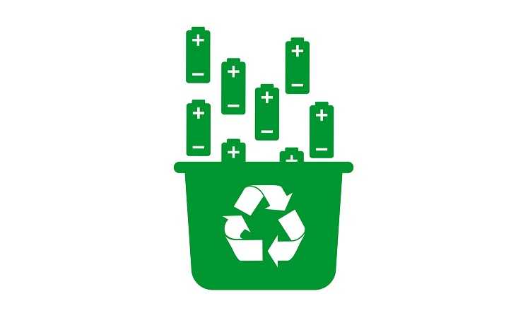 Как решить экологическую проблему мусора в современном мире