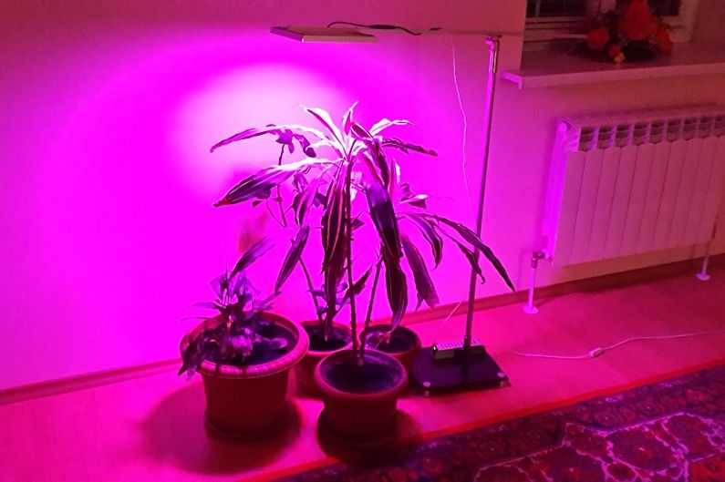 Делаем светодиодную подсветку растений: расчет мощности, выбор ленты, расчет питания