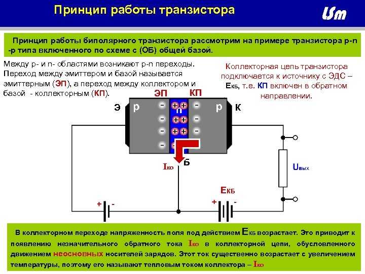 Биполярный транзистор: принцип работы | joyta.ru