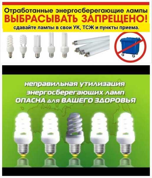 Утилизация люминесцентных ламп: правила, цена, требования
