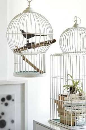 Птицы как фактор вдохновения при создании домашнего декора — торжество свободного полета