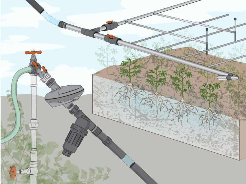 Автоматический полив газона своими руками: устройство и оборудование, правила и требования